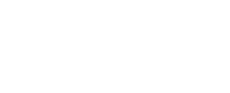 ACE_Avto_LogoFinal_white-01-01